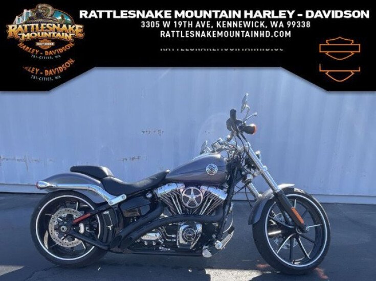 Thumbnail Photo undefined for 2015 Harley-Davidson Softail