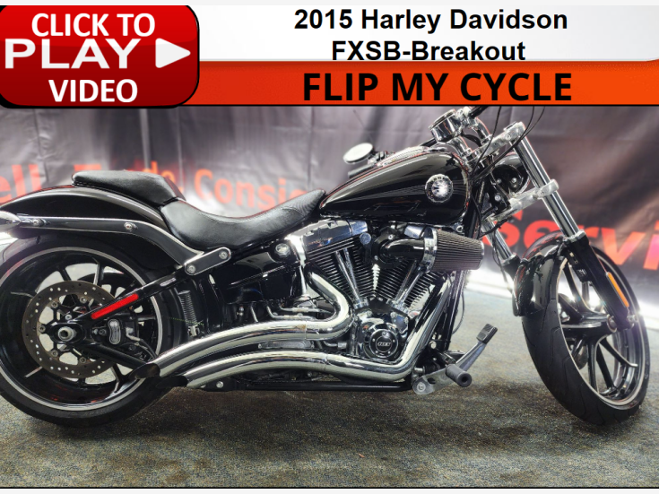 Thumbnail Photo undefined for 2015 Harley-Davidson Softail