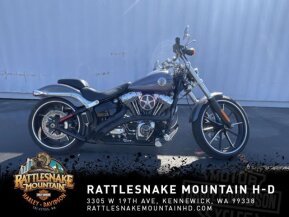 2015 Harley-Davidson Softail for sale 201307410