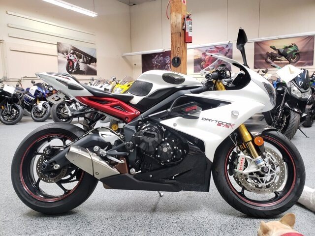 triumph daytona for sale near me