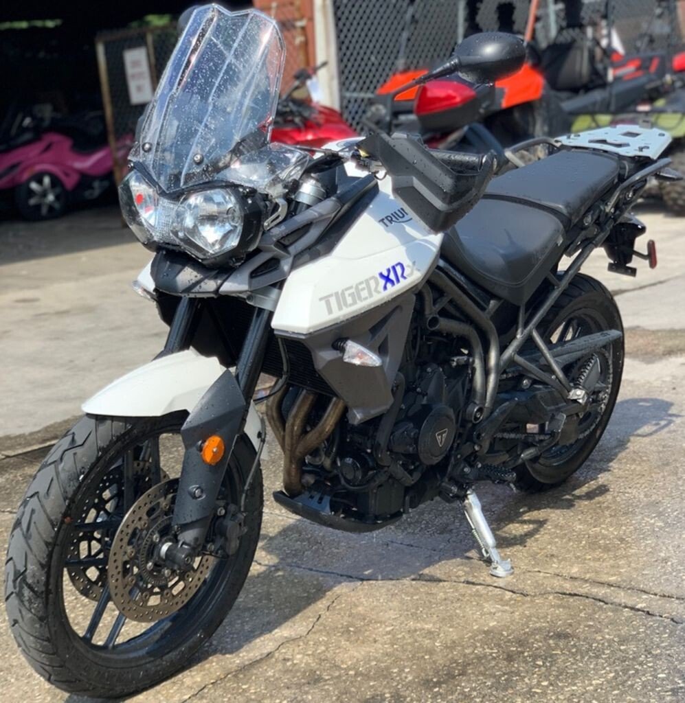 tiger 800 for sale