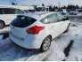 2016 Ford Focus for sale 101845621