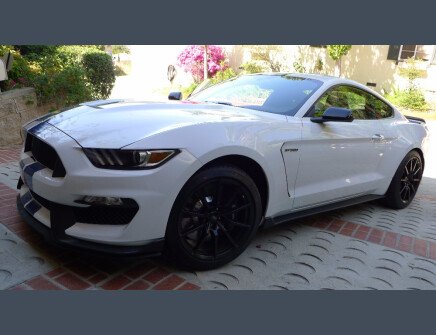 Photo 1 for 2016 Ford Mustang Shelby GT350 Coupe for Sale by Owner