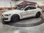 Thumbnail Photo 1 for 2016 Ford Mustang Shelby GT350 Coupe