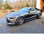 2016 Ford Mustang GT Coupe for sale 101300151
