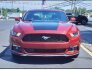 2016 Ford Mustang for sale 101773640