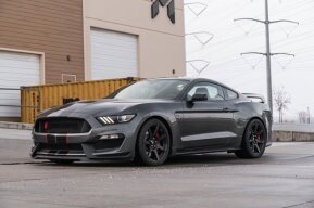 2016 Ford Mustang Shelby GT350 for sale 101840421