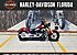 2016 Harley-Davidson Softail for sale 200756321