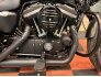 2016 Harley-Davidson Sportster for sale 201213855