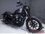 2016 Harley-Davidson Sportster for sale 201280749