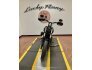 2016 Harley-Davidson Dyna Low Rider S for sale 201192274