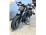 2016 Harley-Davidson Sportster for sale 201194303