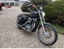 2016 Harley-Davidson Sportster for sale 201238326