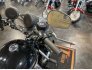 2016 Harley-Davidson Sportster for sale 201321529