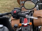 Thumbnail Photo 12 for 2016 Indian Chief Dark Horse