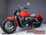 2016 Indian Scout for sale 201351111