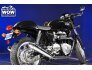 2016 Triumph Thruxton for sale 201287128