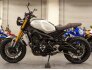 2016 Yamaha XSR900 for sale 201352802