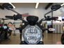 2017 Ducati Monster 797 for sale 201383746