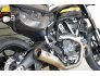 2017 Ducati Scrambler 800 for sale 201278147