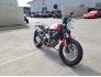 2017 Ducati Scrambler 800 for sale 201320288