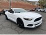 2017 Ford Mustang for sale 101812884