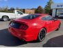 2017 Ford Mustang for sale 101813984