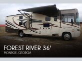 2017 Forest River Georgetown
