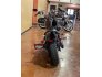 2017 Harley-Davidson Dyna Street Bob for sale 201109163
