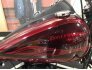 2017 Harley-Davidson Dyna Street Bob for sale 201216704
