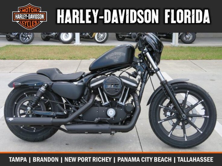 Harley Davidson New Port Richey >> 2017 Harley Davidson Sportster Iron 883 For Sale Near New Harley Davidson New Port Richey >> 2017 Harley Davidson Sportster Iron 883 For Sale Near New