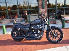 2017 Harley-Davidson Sportster for sale 201185375
