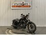 2017 Harley-Davidson Sportster Iron 883 for sale 201211215