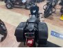 2017 Harley-Davidson Sportster SuperLow for sale 201277370
