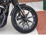 2017 Harley-Davidson Sportster for sale 201277430