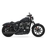 2017 Harley-Davidson Sportster Iron 883 for sale 201321158
