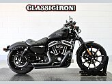 2017 Harley-Davidson Sportster Iron 883 for sale 201480685
