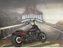 2017 Harley-Davidson CVO Breakout for sale 201314462