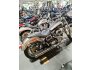 2017 Harley-Davidson Dyna Low Rider for sale 201287836