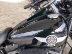 Thumbnail Photo 8 for 2017 Harley-Davidson Softail