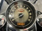 Thumbnail Photo 19 for 2017 Harley-Davidson Softail Heritage Classic