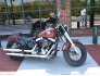 2017 Harley-Davidson Softail for sale 201310049