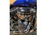 2017 Harley-Davidson Softail Deluxe for sale 201323945