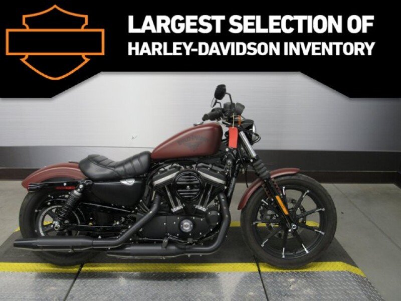 17 Harley Davidson Sportster Iron 8 For Sale Near Goodyear Arizona Motorcycles On Autotrader