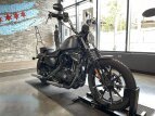 Thumbnail Photo 19 for 2017 Harley-Davidson Sportster Iron 883