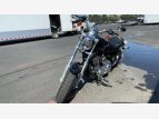 Thumbnail Photo 29 for 2017 Harley-Davidson Sportster 1200 Custom