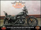 Thumbnail Photo 0 for 2017 Harley-Davidson Sportster Iron 883