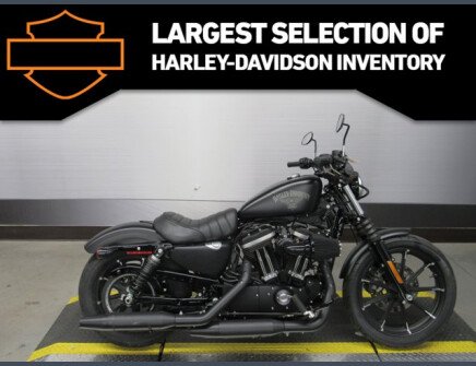 Photo 1 for 2017 Harley-Davidson Sportster Iron 883