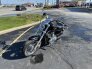 2017 Harley-Davidson Sportster for sale 201289462