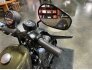 2017 Harley-Davidson Sportster Iron 883 for sale 201291733